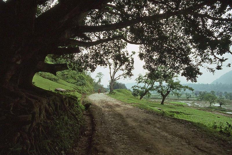 WT 1000 143-04 Nepal.jpg